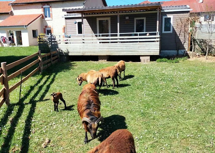 Cottage Gite Aux Lauriers Lacroix Sur Meuse